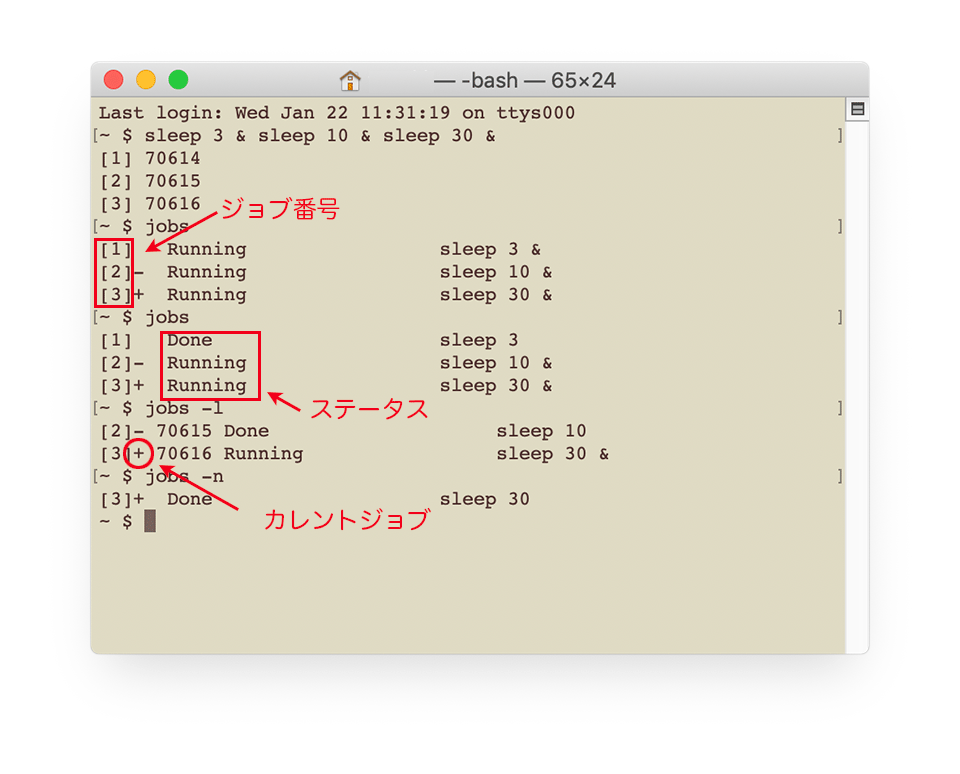 Mac ターミナルの基本的な使い方 操作方法 ４ プロセスの管理 シグナル ユーザー管理 ソフトウェアのインストール ネットワークの基本コマンド Web Design Leaves