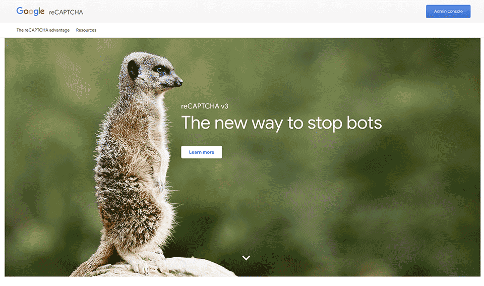 Google Recaptcha の使い方 V2 V3 Web Design Leaves